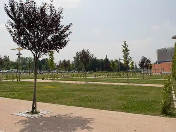ghiarietti-per-i-petali-reggio-emilia